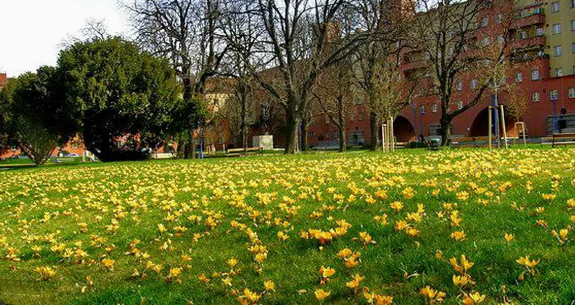 Immobilienmarkt: Einige gängige Irrtümer und Missverständnisse